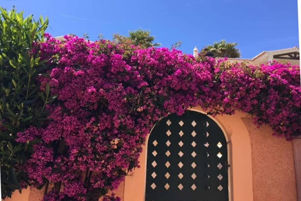 Vila Bela Nova Acacias 22 Luz Εξωτερικό φωτογραφία